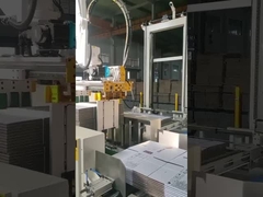 System palletyzatora robotowego TAEMS dla kartonu